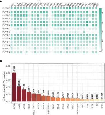 Phospholipid Phosphatase 4 as a Driver of Malignant Glioma and Pancreatic Adenocarcinoma